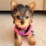 fb06d571db85c569e83a072a102e0ca6